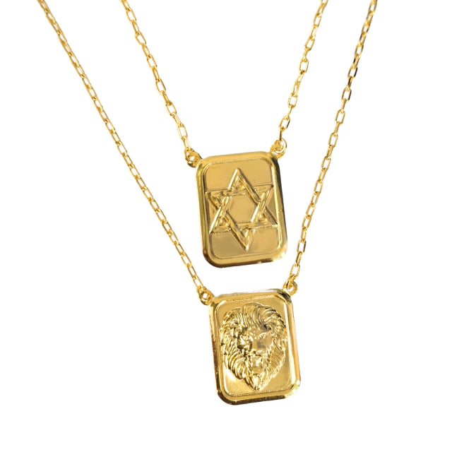Escapulário Cadeado 2mm Leão Estrela de Davi Banhado A Ouro 18k